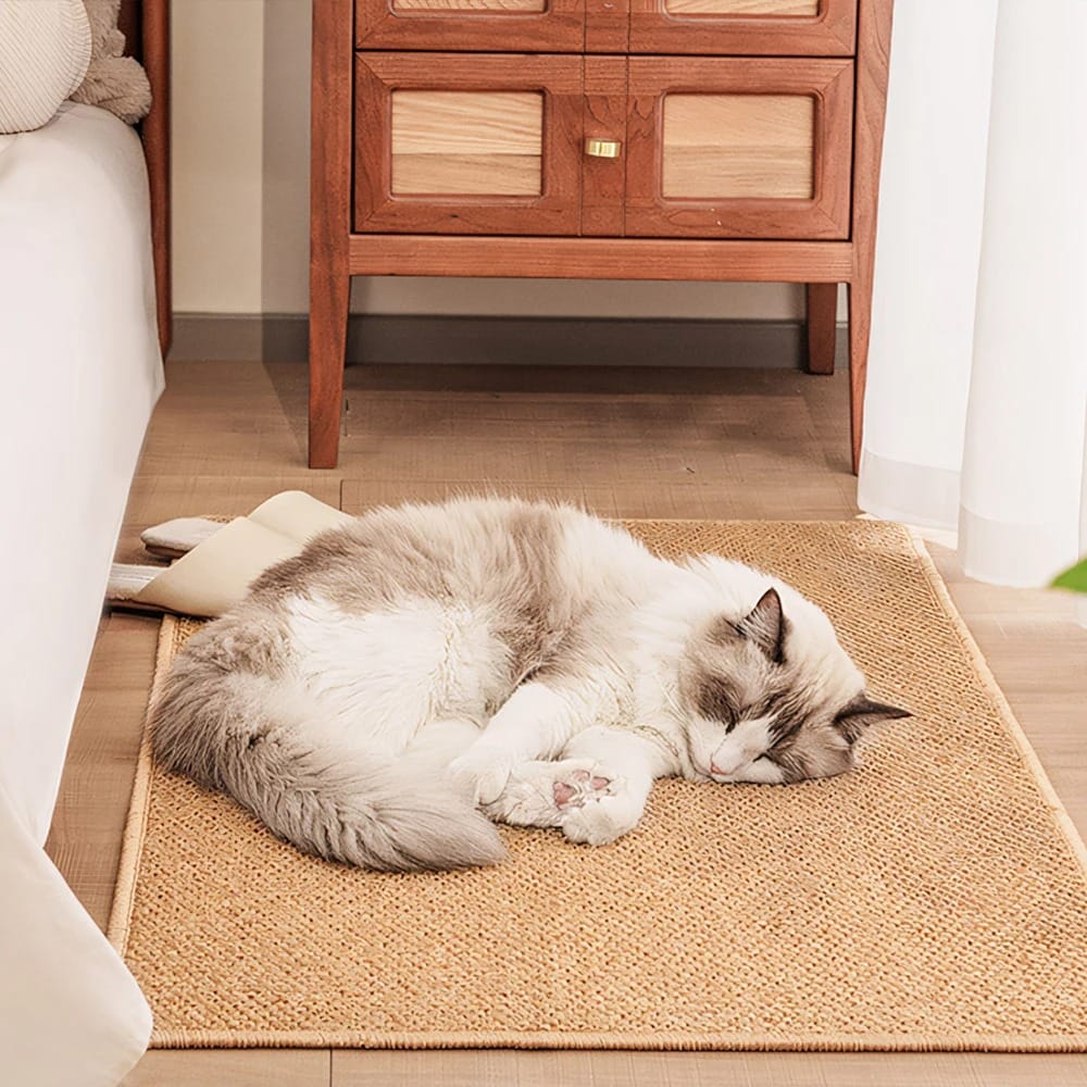 HavenStep Non-Slip Welcome Door Mat – Washable Indoor & Outdoor Entrance Rug