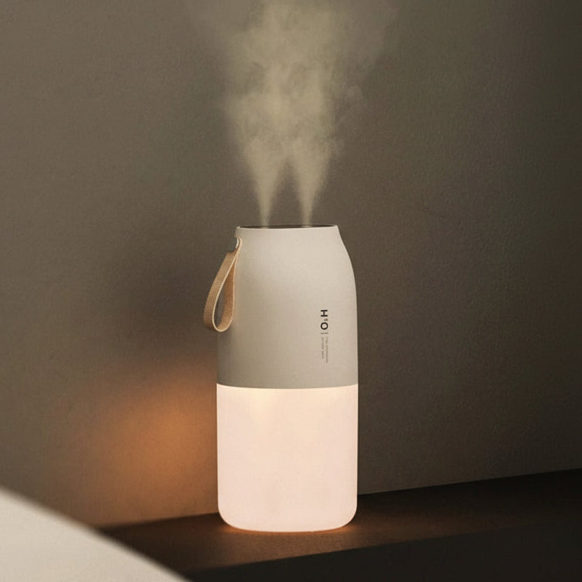 Portable Dual Jet Ultrasonic Air Humidifier 300ml Cool Mist