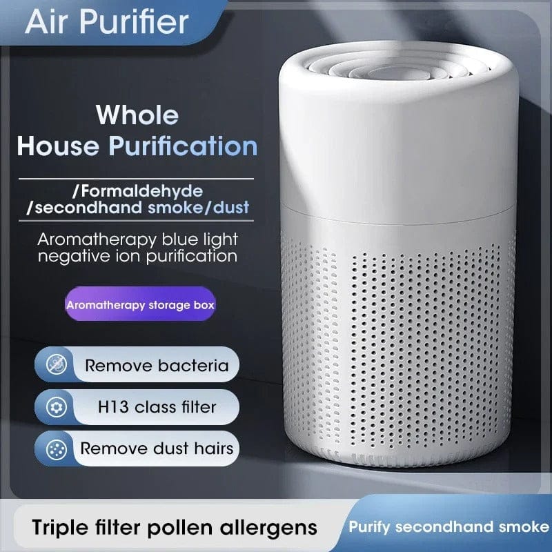 Hepa Air Purifier with Negative Ion Generator for Home