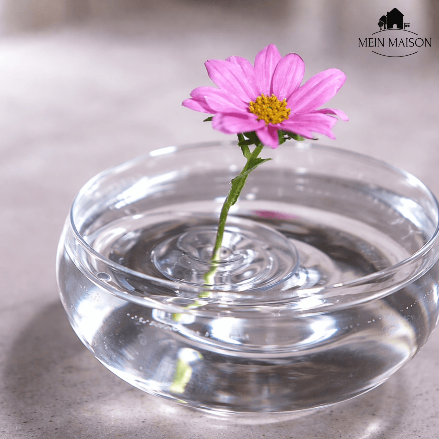 BloomRise | Floating Flower Holders – Keep Blooms Upright Instantly (10-Pack)