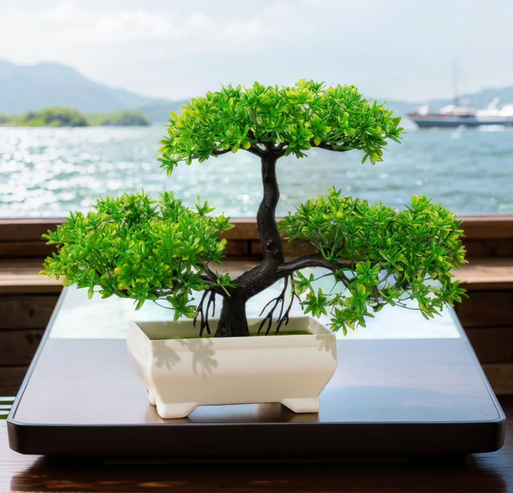 ZenLeaf Miniature Bonsai Tree