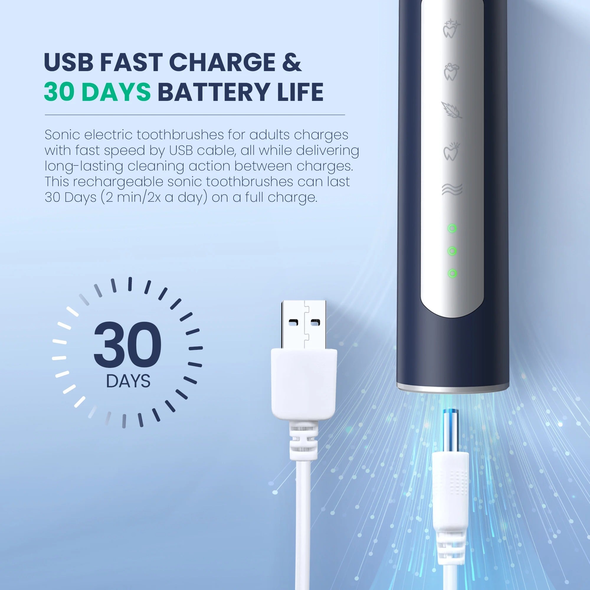 Electric Sonic Toothbrush with 10 Replacement Brush Heads