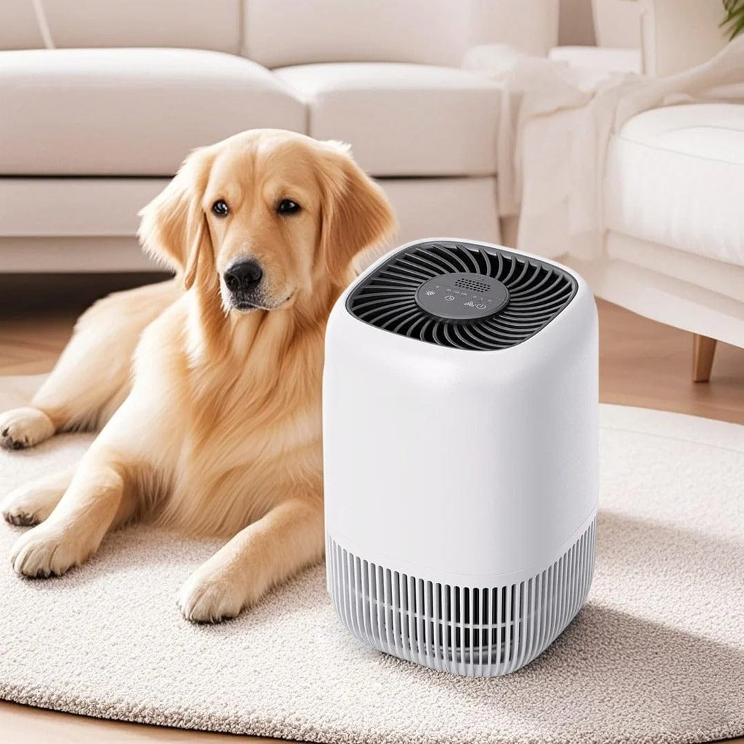 Hepa Air Purifier for Bedroom with Timer and Fragrance